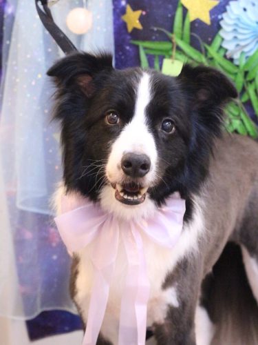 20250706ウィルくん